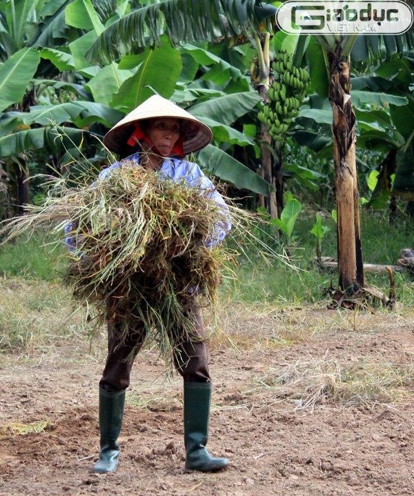 Người vợ tảo tần của ông Được